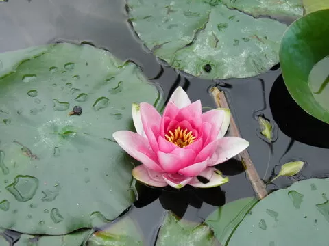 实时开奖系统上线